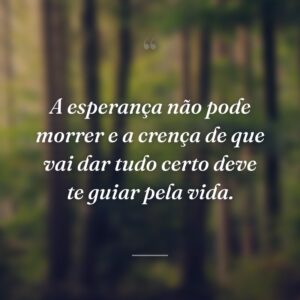 A esperança não pode morrer e a crença de que vai dar tudo certo deve te guiar pela vida.