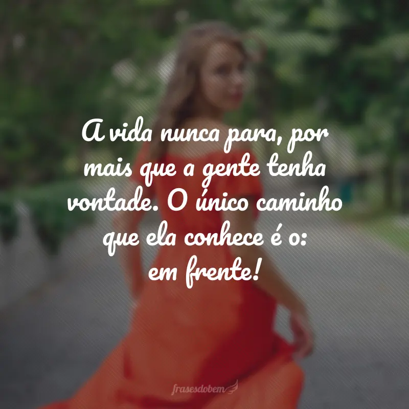 A vida nunca para, por mais que a gente tenha vontade. O único caminho que ela conhece é o: em frente!