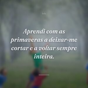 Aprendi com as primaveras a deixar-me cortar e a voltar sempre inteira.