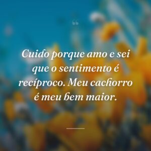 Cuido porque amo e sei que o sentimento é recíproco. Meu cachorro é meu bem maior.