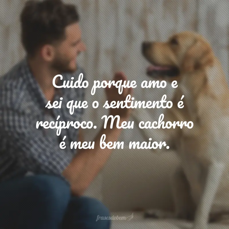 Cuido porque amo e sei que o sentimento é recíproco. Meu cachorro é meu bem maior.