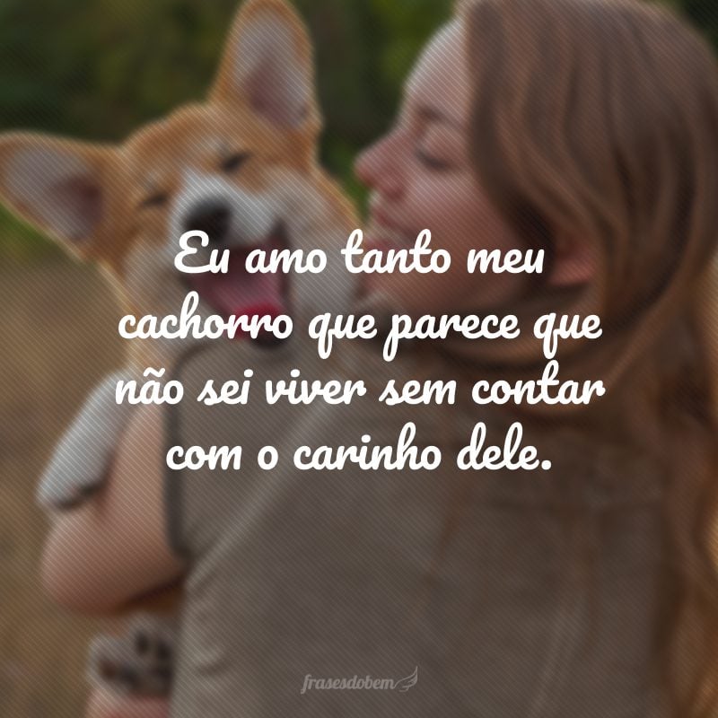 Eu amo tanto meu cachorro que parece que não sei viver sem contar com o carinho dele.