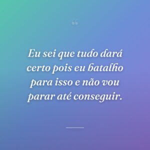 Eu sei que tudo dará certo pois eu batalho para isso e não vou parar até conseguir.