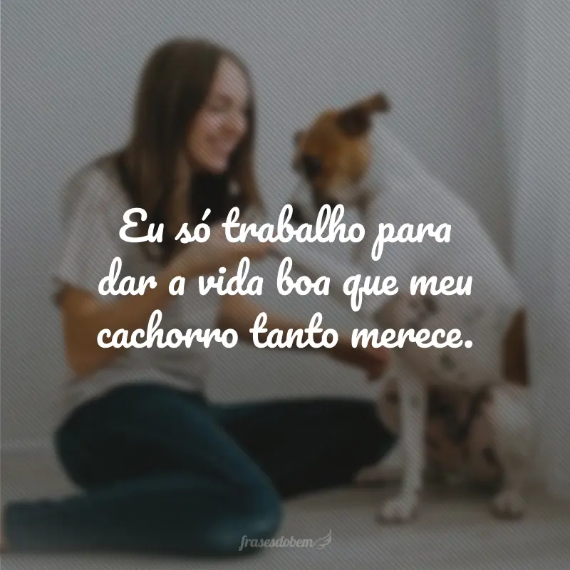 Eu só trabalho para dar a vida boa que meu cachorro tanto merece.