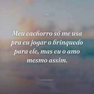 Meu cachorro só me usa pra eu jogar o brinquedo para ele, mas eu o amo mesmo assim.