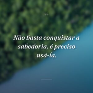Não basta conquistar a sabedoria, é preciso usá-la.