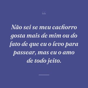Não sei se meu cachorro gosta mais de mim ou do fato de que eu o levo para passear, mas eu o amo de todo jeito.