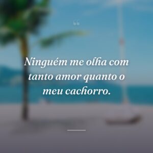 Ninguém me olha com tanto amor quanto o meu cachorro.