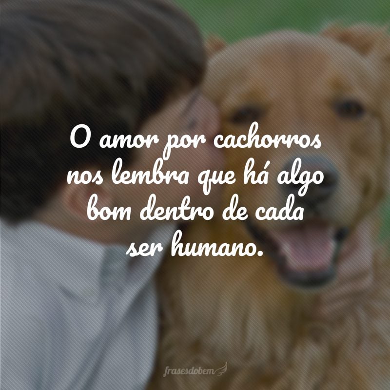 O amor por cachorros nos lembra que há algo bom dentro de cada ser humano.