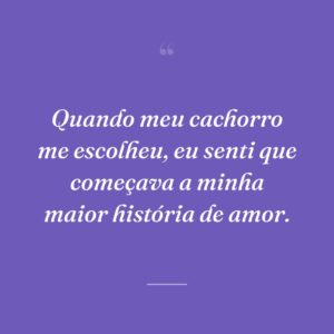 Quando meu cachorro me escolheu, eu senti que começava a minha maior história de amor.