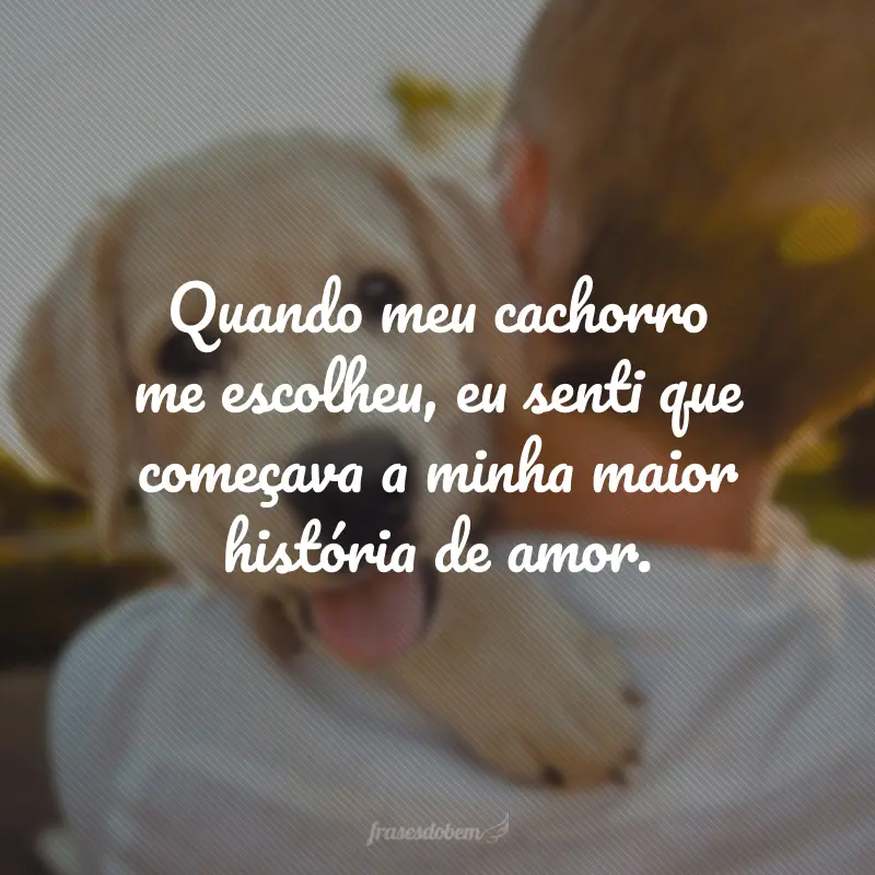 Quando meu cachorro me escolheu, eu senti que começava a minha maior história de amor.