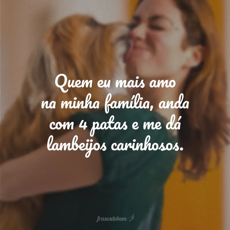 Quem eu mais amo na minha família, anda com 4 patas e me dá lambeijos carinhosos.