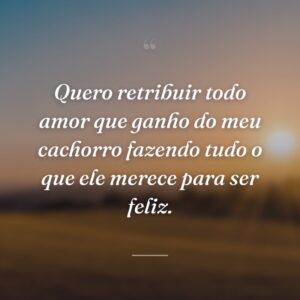 Quero retribuir todo amor que ganho do meu cachorro fazendo tudo o que ele merece para ser feliz.