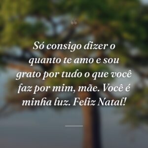 Só consigo dizer o quanto te amo e sou grato por tudo o que você faz por mim, mãe. Você é minha luz. Feliz Natal!