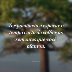 Ter paciência é esperar o tempo certo de colher as sementes que você plantou.