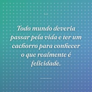 Todo mundo deveria passar pela vida e ter um cachorro para conhecer o que realmente é felicidade.