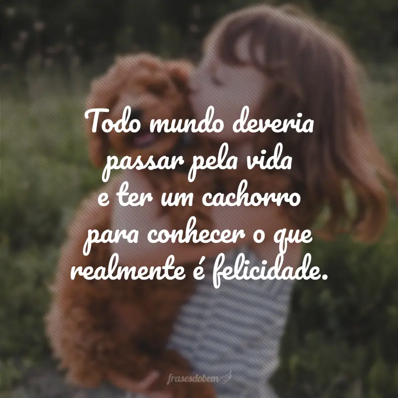 Todo mundo deveria passar pela vida e ter um cachorro para conhecer o que realmente é felicidade.