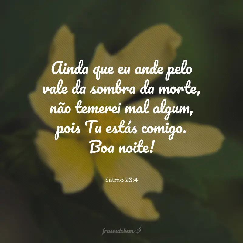 Ainda que eu ande pelo vale da sombra da morte, não temerei mal algum, pois Tu estás comigo. Boa noite!