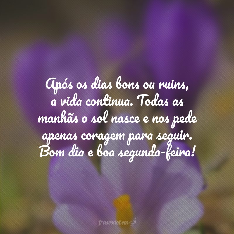 Após os dias bons ou ruins, a vida continua. Todas as manhãs o sol nasce e nos pede apenas coragem para seguir. Bom dia e boa segunda-feira!