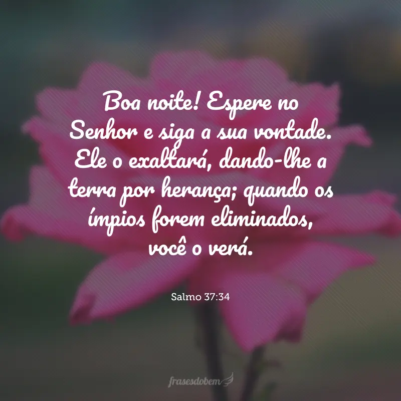 Boa noite! Espere no Senhor e siga a sua vontade. Ele o exaltará, dando-lhe a terra por herança; quando os ímpios forem eliminados, você o verá. 