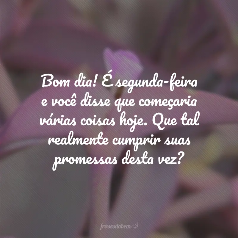 Bom dia! É segunda-feira e você disse que começaria várias coisas hoje. Que tal realmente cumprir suas promessas desta vez?