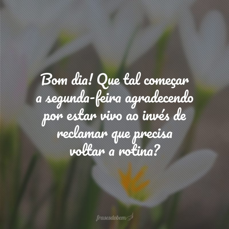 Bom dia! Que tal começar a segunda-feira agradecendo por estar vivo ao invés de reclamar que precisa voltar a rotina?