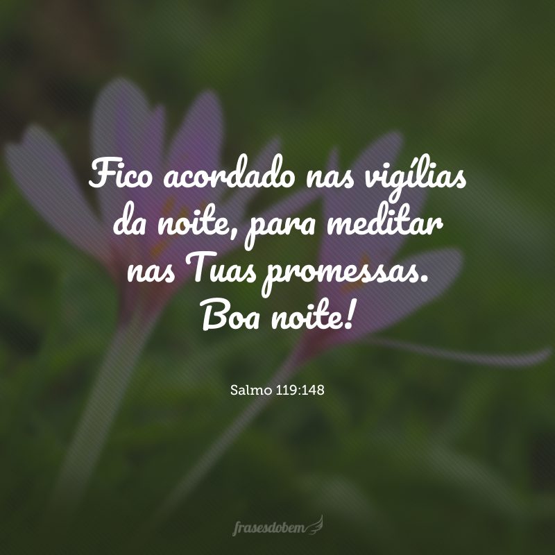 Fico acordado nas vigílias da noite, para meditar nas Tuas promessas. Boa noite!