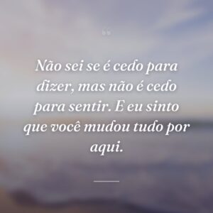 Não sei se é cedo para dizer, mas não é cedo para sentir. E eu sinto que você mudou tudo por aqui.