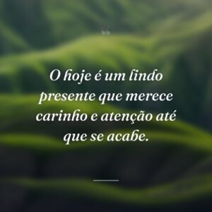 O hoje é um lindo presente que merece carinho e atenção até que se acabe.