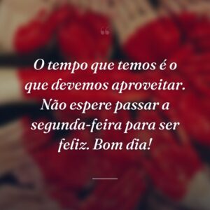 O tempo que temos é o que devemos aproveitar. Não espere passar a segunda-feira para ser feliz. Bom dia!