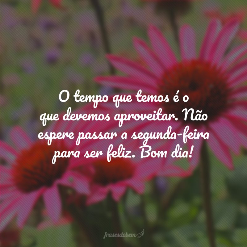 O tempo que temos é o que devemos aproveitar. Não espere passar a segunda-feira para ser feliz. Bom dia!