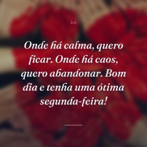 Onde há calma, quero ficar. Onde há caos, quero abandonar. Bom dia e tenha uma ótima segunda-feira!