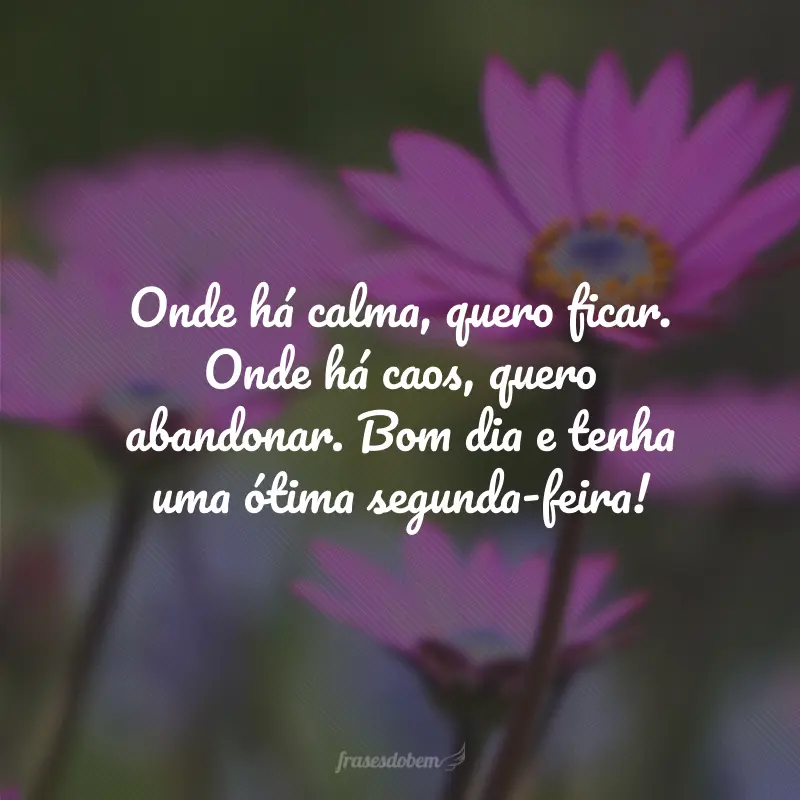 Onde há calma, quero ficar. Onde há caos, quero abandonar. Bom dia e tenha uma ótima segunda-feira!