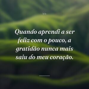 Quando aprendi a ser feliz com o pouco, a gratidão nunca mais saiu do meu coração.