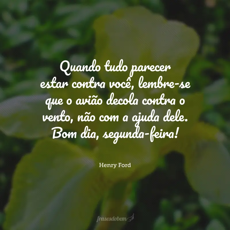 Quando tudo parecer estar contra você, lembre-se que o avião decola contra o vento, não com a ajuda dele. Bom dia, segunda-feira!