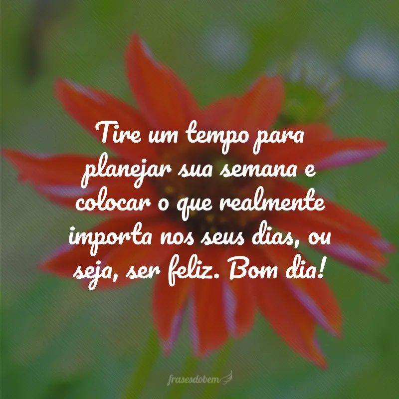 Tire um tempo para planejar sua semana e colocar o que realmente importa nos seus dias, ou seja, ser feliz. Bom dia!