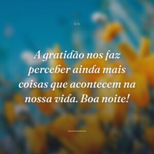 A gratidão nos faz perceber ainda mais coisas que acontecem na nossa vida. Boa noite!