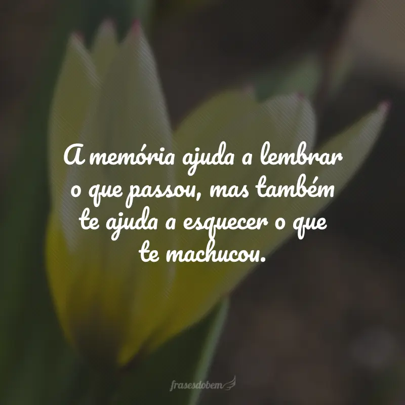 A memória ajuda a lembrar o que passou, mas também te ajuda a esquecer o que te machucou.