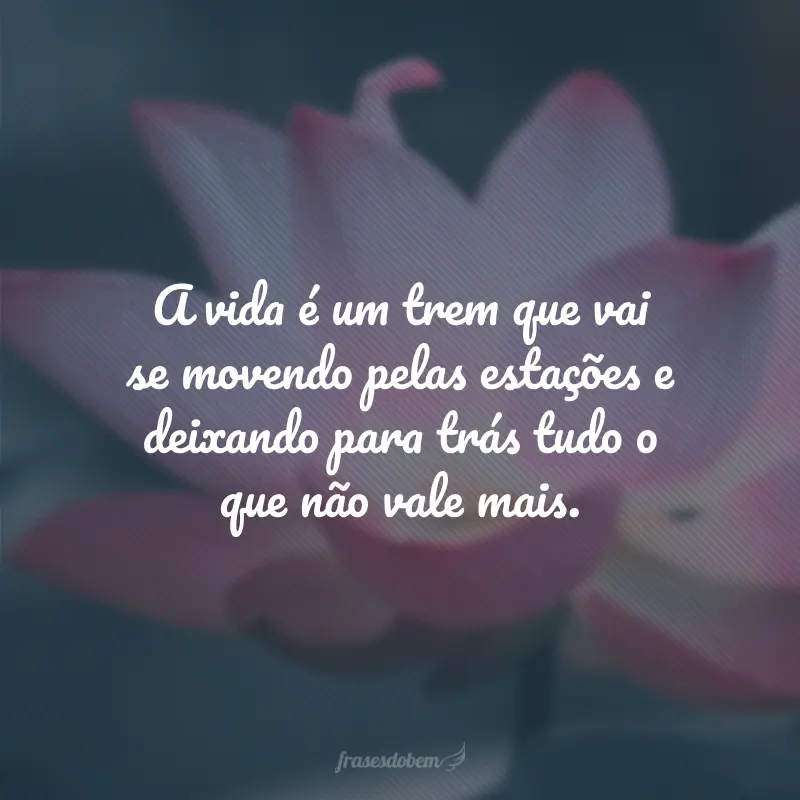 A vida é um trem que vai se movendo pelas estações e deixando para trás tudo o que não vale mais.