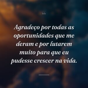 Agradeço por todas as oportunidades que me deram e por lutarem muito para que eu pudesse crescer na vida.