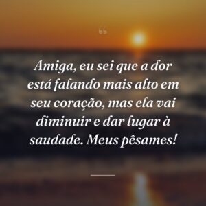 Amiga, eu sei que a dor está falando mais alto em seu coração, mas ela vai diminuir e dar lugar à saudade. Meus pêsames!