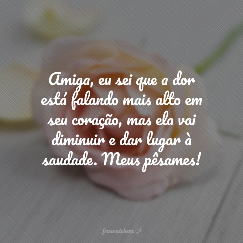 Amiga, eu sei que a dor está falando mais alto em seu coração, mas ela vai diminuir e dar lugar à saudade. Meus pêsames!