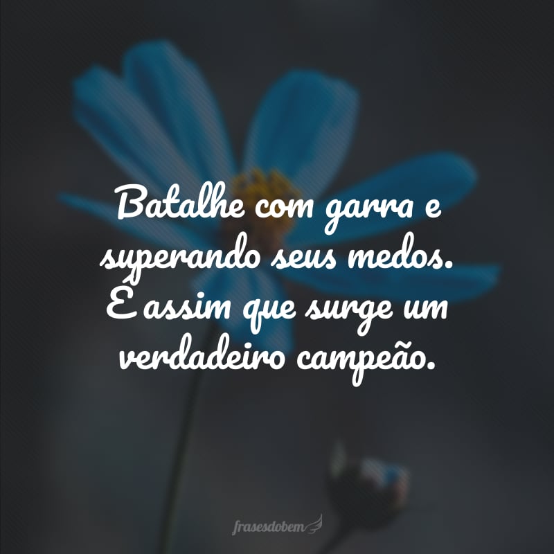 Batalhe com garra e superando seus medos. É assim que surge um verdadeiro campeão.