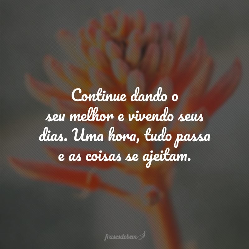 Continue dando o seu melhor e vivendo seus dias. Uma hora, tudo passa e as coisas se ajeitam.