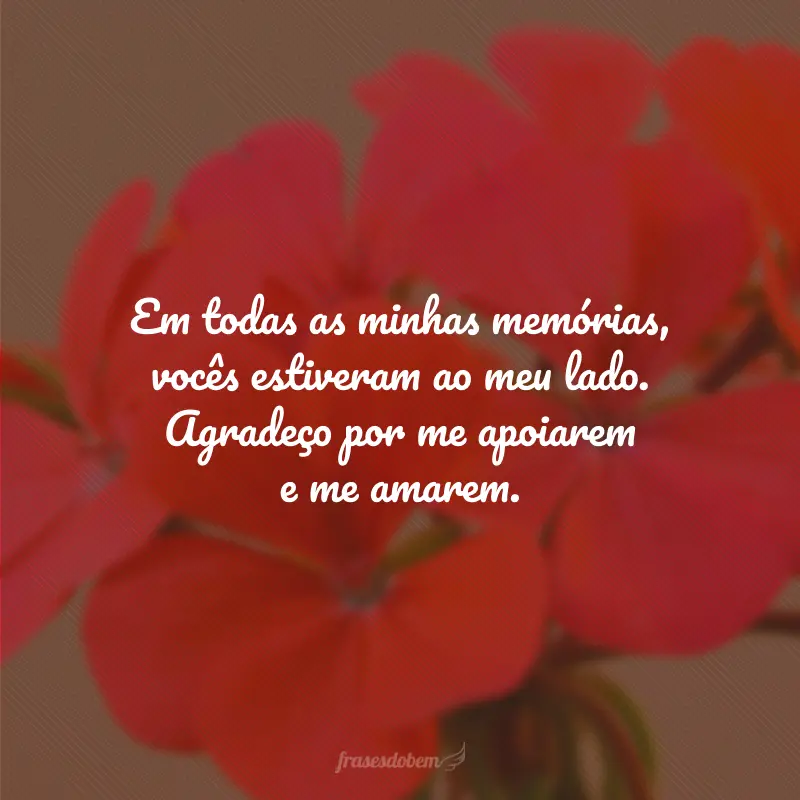 Em todas as minhas memórias, vocês estiveram ao meu lado. Agradeço por me apoiarem e me amarem.