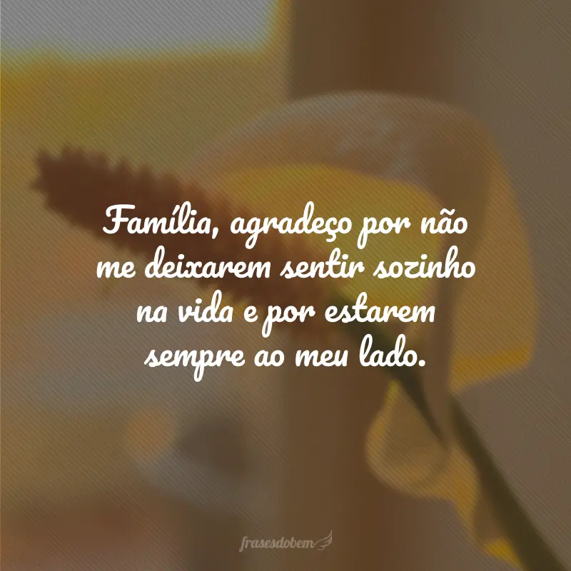 Família, agradeço por não me deixarem sentir sozinho na vida e por estarem sempre ao meu lado.