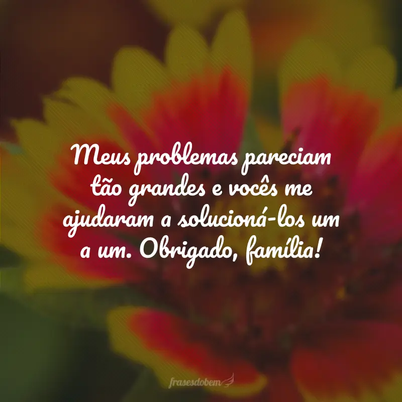 Meus problemas pareciam tão grandes e vocês me ajudaram a solucioná-los um a um. Obrigado, família!