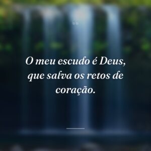 O meu escudo é Deus, que salva os retos de coração.