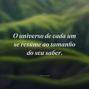 O universo de cada um se resume ao tamanho do seu saber.