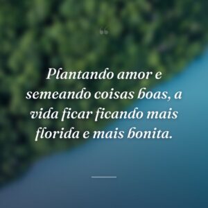 Plantando amor e semeando coisas boas, a vida ficar ficando mais florida e mais bonita.